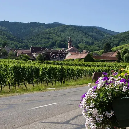 Berceau Du Vigneron Szálloda