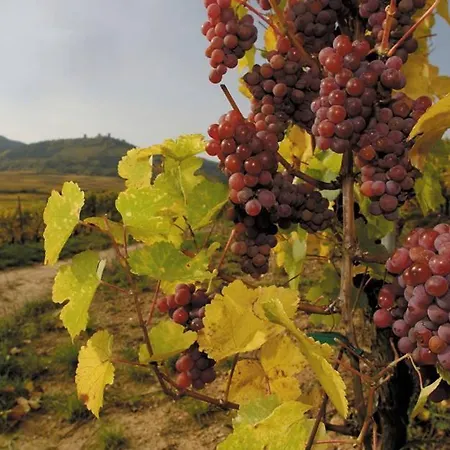 Berceau Du Vigneron 3*