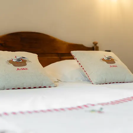 Hotel Berceau Du Vigneron Turckheim