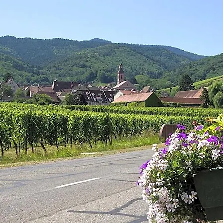 Hotel Berceau Du Vigneron Turckheim