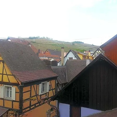 Berceau Du Vigneron Turckheim